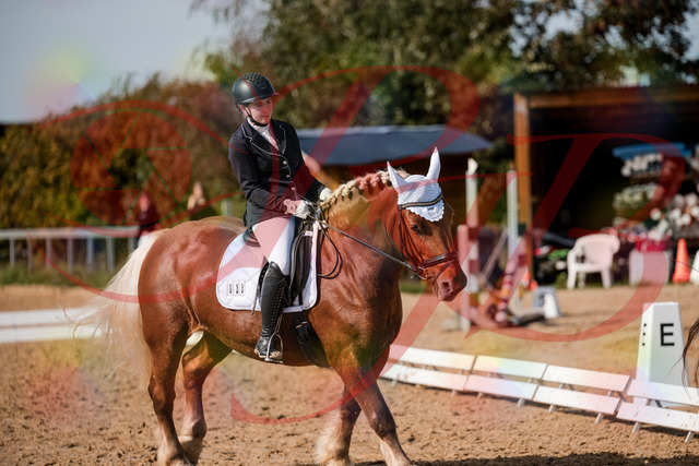 2026_10_03_Siefer-Hof_130442_Z63_67708970 | Professionelle Reitsport-, Turnier- und Eventfotografie von Robert Broda. Galerien mit ausgewählten und bearbeiteten Bildern direkt online ansehen und bestellen.