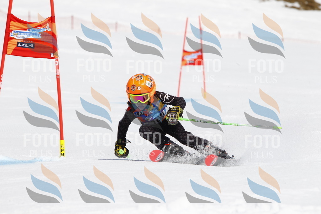 _U3G4440 | holidayphoto