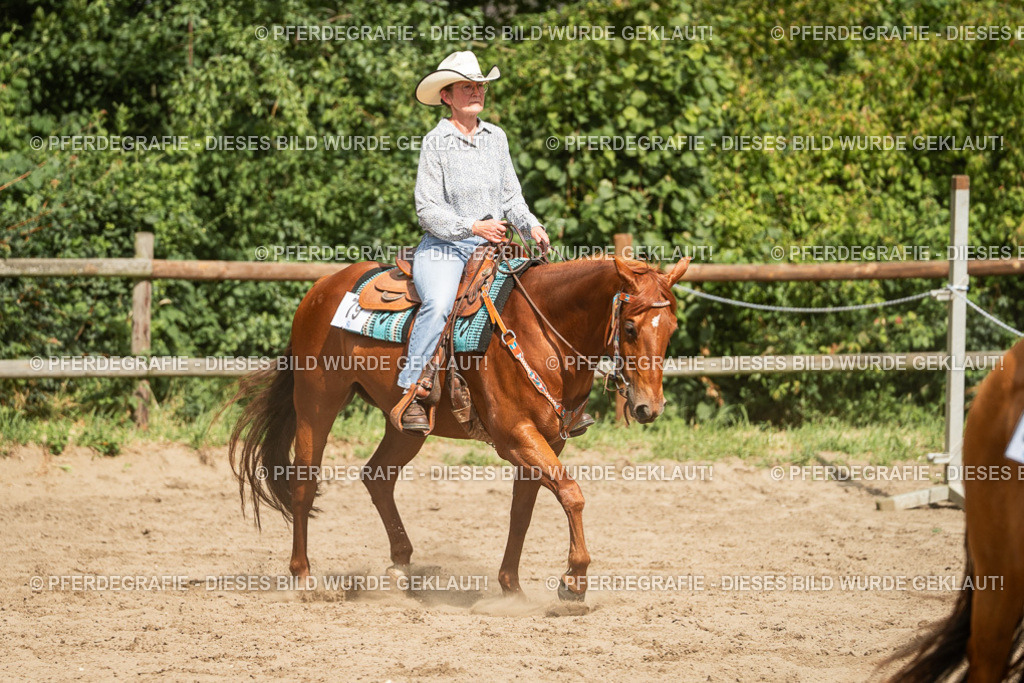 DSC03493 | Pferdegrafie