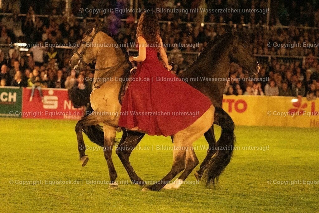20230526_Pferdenacht_1427 | equistock