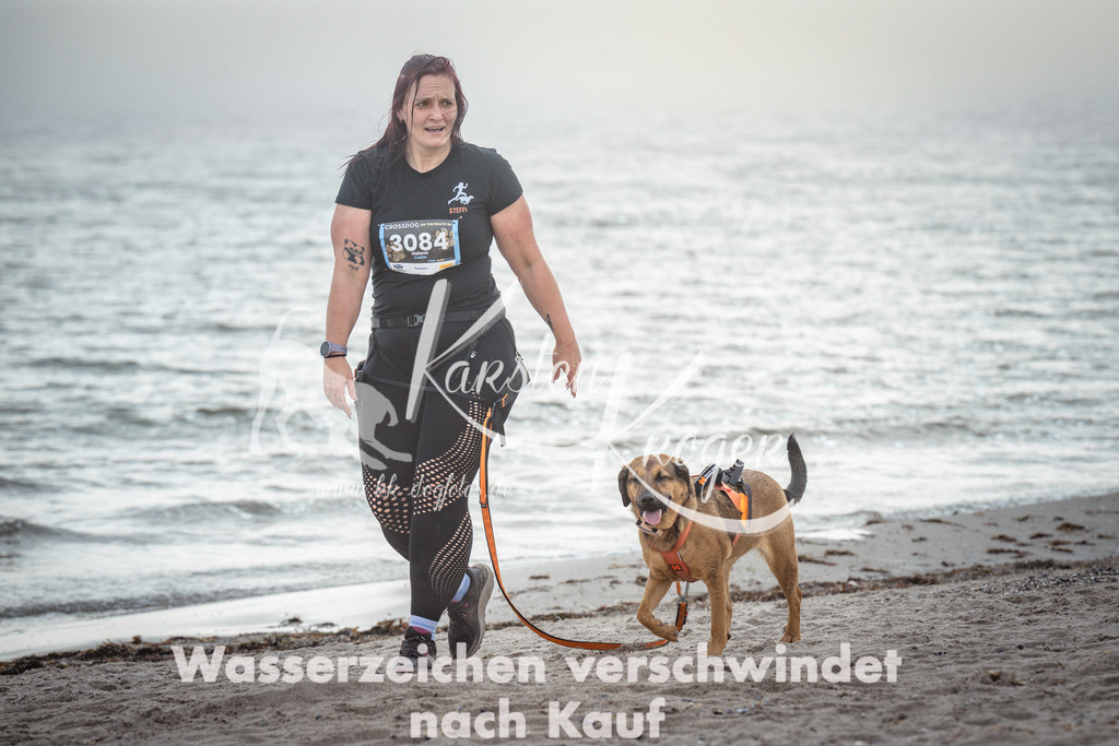1131_ZZ98976 | kk-dogfotos