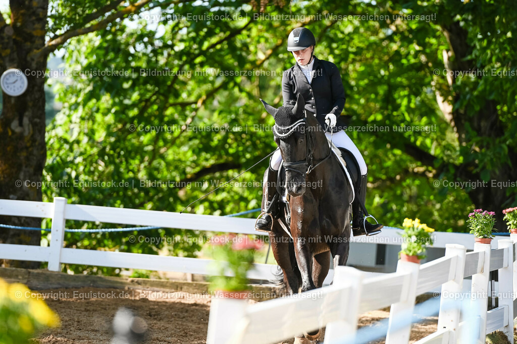 20230715_06_Dressurpferdeprfg. Kl.A_0096 | equistock