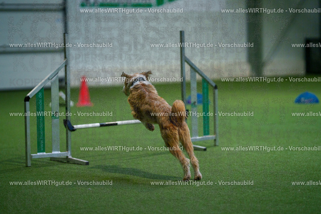 7R503418 | Professionelle Tierfotografie in Mönchengladbach von Daniel Wirth (allesWIRTHgut). Liebevolle & natürliche Bilder von Hunden & Katzen für unvergessliche Erinnerungen.