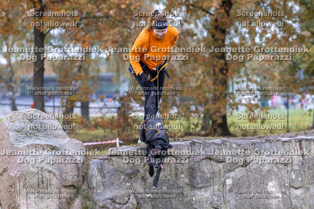 Dog Paparazzi - SD CaniX Championship 2025-827 | Dog Paparazzi Jeanette Grottendiek Fotografie & Videografie - Realisiert mit Pictrs.com