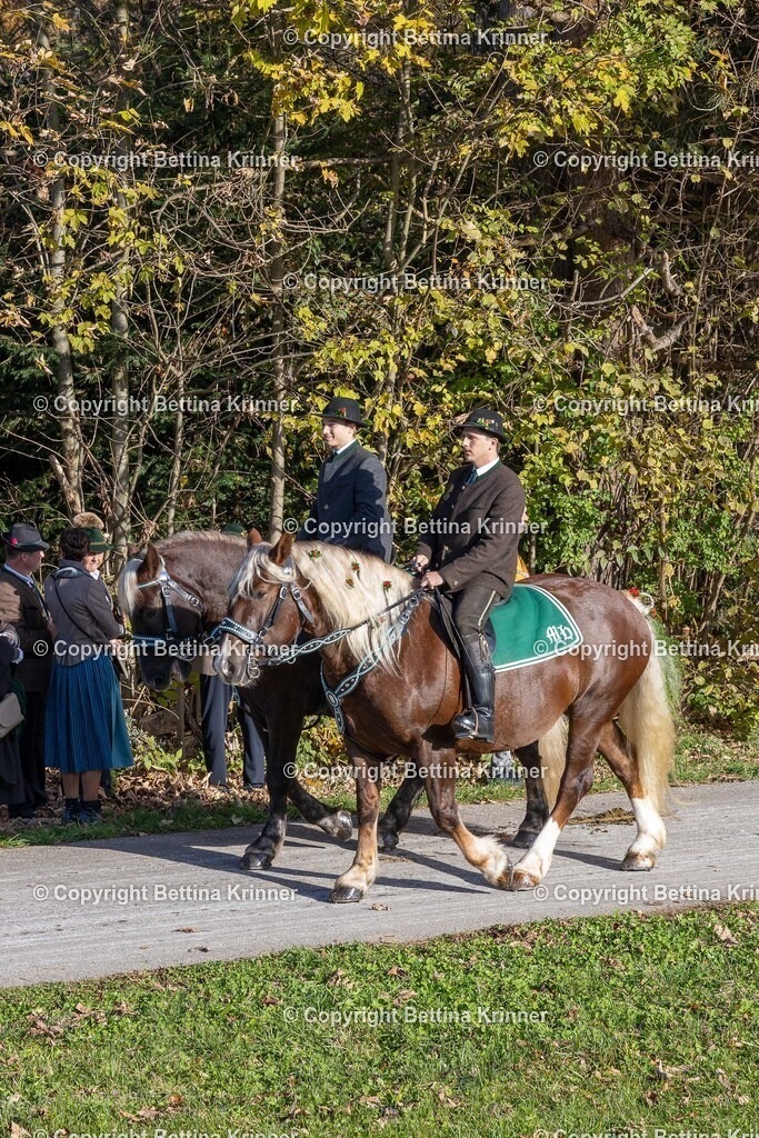 LBT24-376 | foto-bettina-krinner - Realisiert mit Pictrs.com