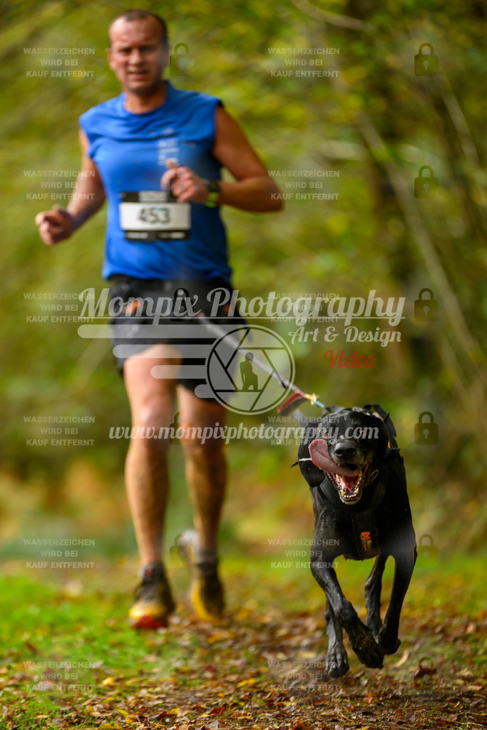 MompixPhotography_20TSB_E1_Run-11 | PayLife