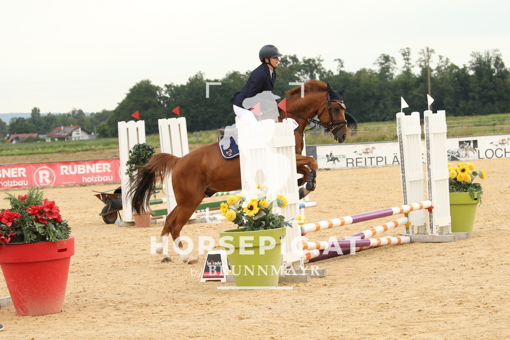DL2Q3173 | Willkommen bei Brunnmayr - Design & Fotografie – Ihrem Spezialisten für Reitturniere und Pferdeveranstaltungen in Oberösterreich, Salzburg und Bayern! Seit über 17 Jahren sind wir leidenschaftlich dabei.
