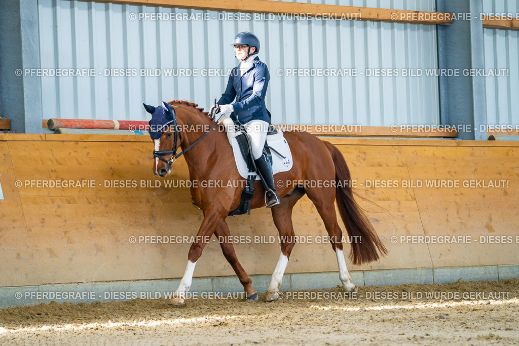 DSC06466 | Pferdegrafie