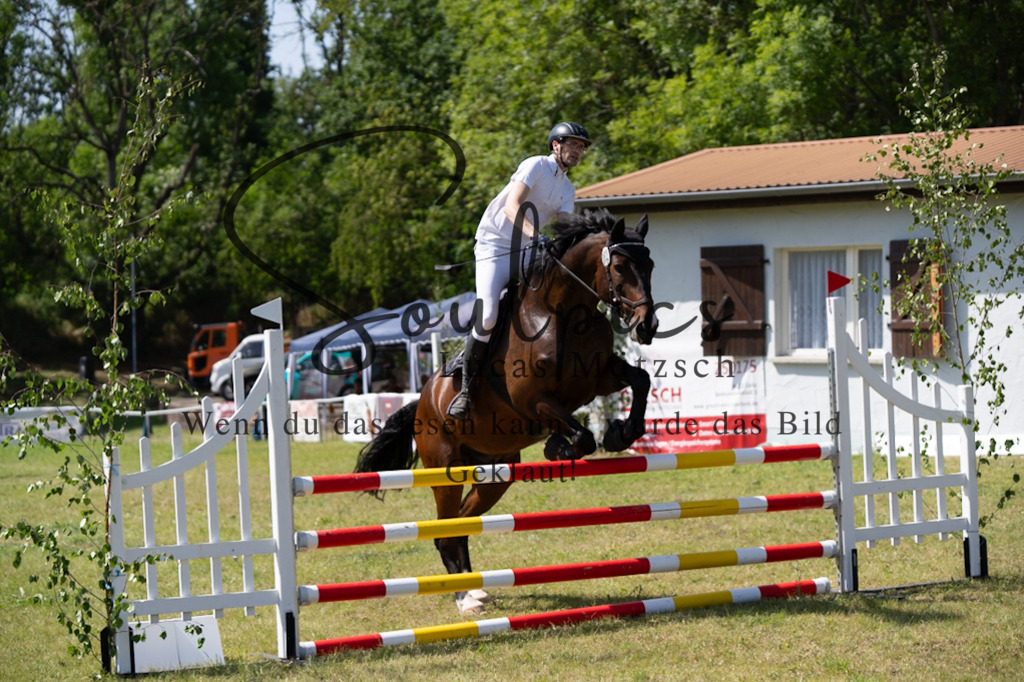 A7V06423 | Pferdefotograf