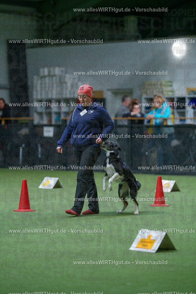7R502736 | Professionelle Tierfotografie in Mönchengladbach von Daniel Wirth (allesWIRTHgut). Liebevolle & natürliche Bilder von Hunden & Katzen für unvergessliche Erinnerungen.