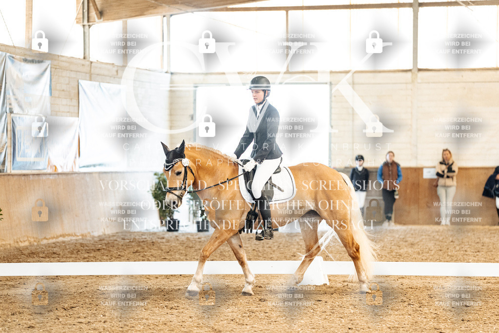 CK909960 | Turnierfotografie Pferdefotografie Trier Rheinland-Pfalz Pferdesport Reitsport Tierfotografie Sportfotografie Pferdevideo Pferdevideografie Equestrianvideography equestrianphotography  - Realisiert mit Pictrs.com
