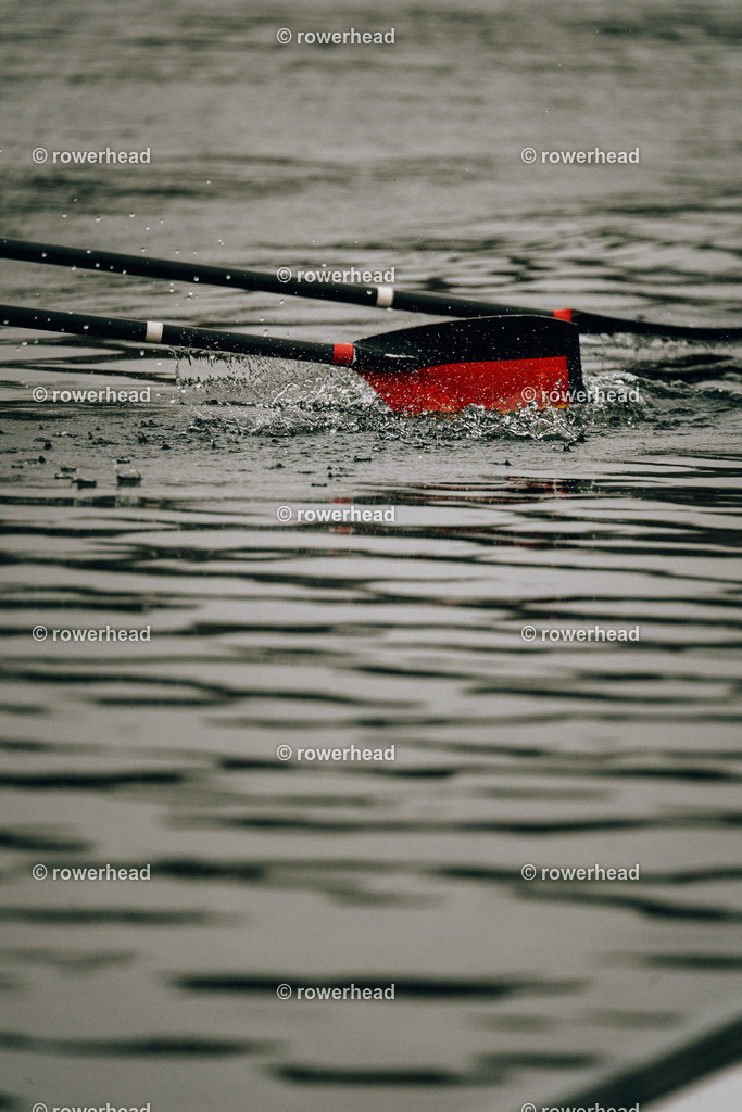 20240113_rowerhead_S0094_DSC03627 | rowerhead - Realisiert mit Pictrs.com