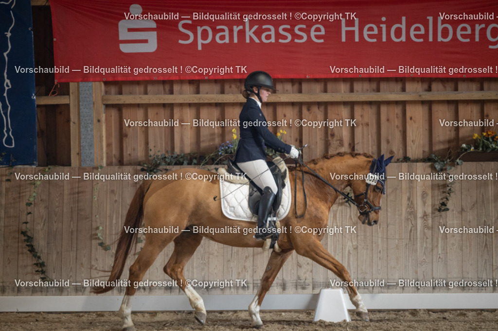 _D5A4462 | Emotionale Pferde- & People-Fotografie rund um Heidelberg, Leimen & Umgebung. Natürliche Fotos von Pferd, Mensch & Familie. Jetzt Termin sichern!