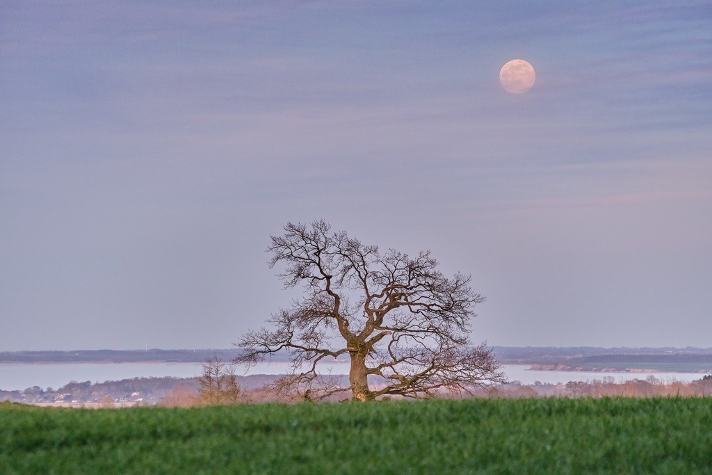DSCF4751 | Entdecken Sie hochwertige Fotoprodukte für Ihr Zuhause, Büro oder als besonderes Geschenk.rpixel.de bietet Ihnen exklusive Fotografien aus den Bereichen Natur, Landschaft und Motiven vom Meer.Einfach direkt im Online-Shop bestellen. - Realisiert mit Pictrs.com