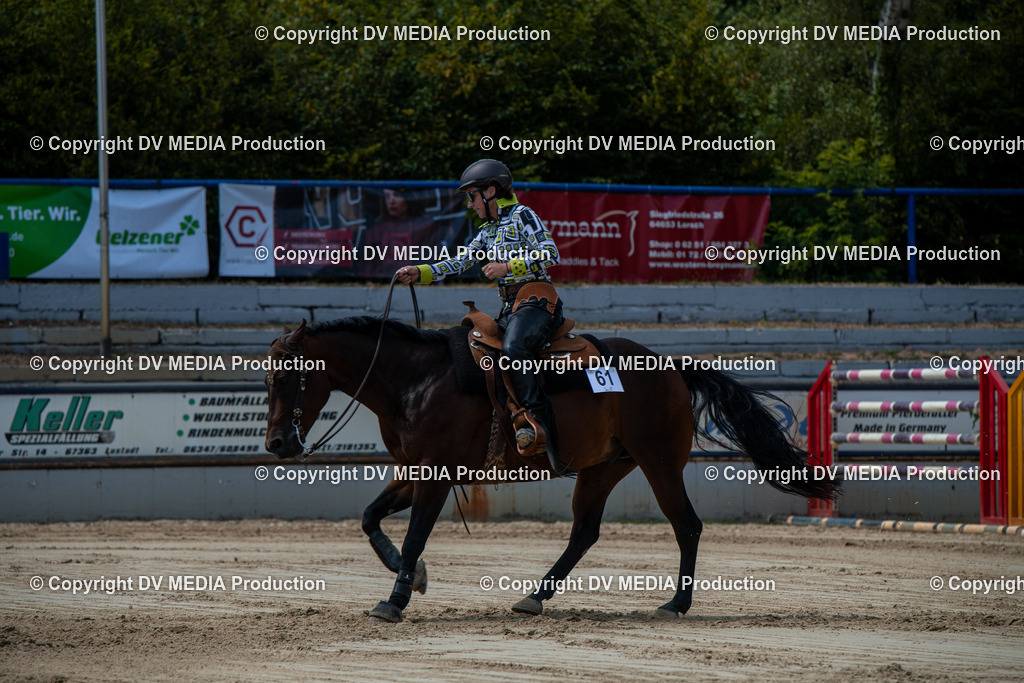 ZS3_9882 | dv-media-shop - Realisiert mit Pictrs.com