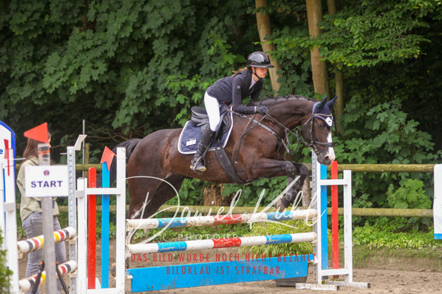 DKP44982 | Turnierfotos kaufen im Webshop von Daniel Kuhl Photography – entdecke professionelle Reitsportfotos aus Turnieren & Events. Hochwertige Turnierbilder online bestellen & sichern. Jetzt Fotos von Reitsportturnieren kaufen!