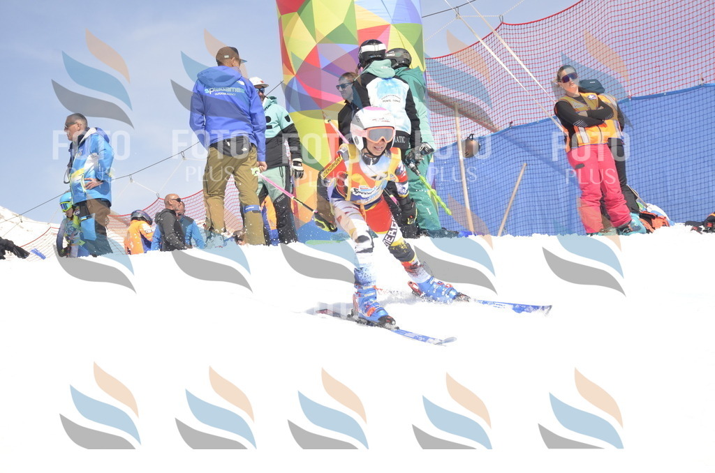 _ELE9524 | holidayphoto