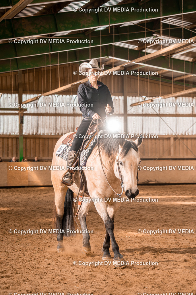 BAL02046 | dv-media-shop - Realisiert mit Pictrs.com