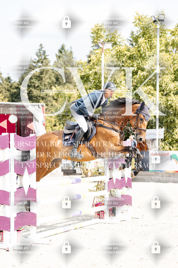 CK908846 | Turnierfotografie Pferdefotografie Trier Rheinland-Pfalz Pferdesport Reitsport Tierfotografie Sportfotografie Pferdevideo Pferdevideografie Equestrianvideography equestrianphotography  - Realisiert mit Pictrs.com