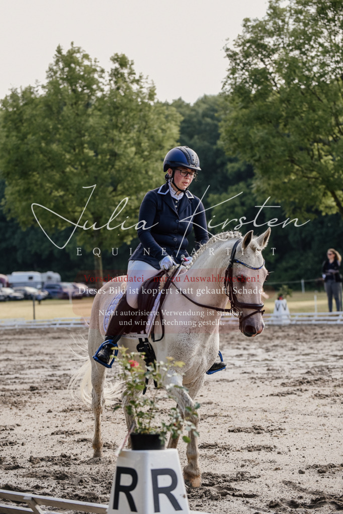 DSC_7923 | Pferde- und Turnierfotografie in Westsachsen. Pferdeportraits, Auftragszeichnungen und intuitive Kunst.