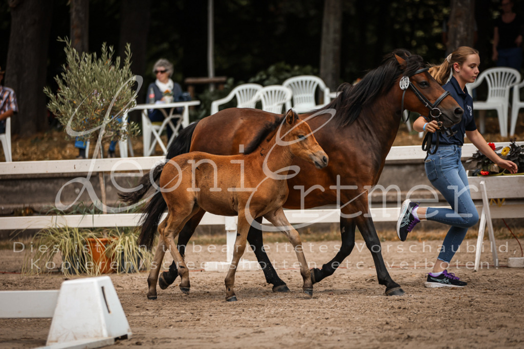 02.DoSR00066 | Leoni Ertmer Photography - Realisiert mit Pictrs.com