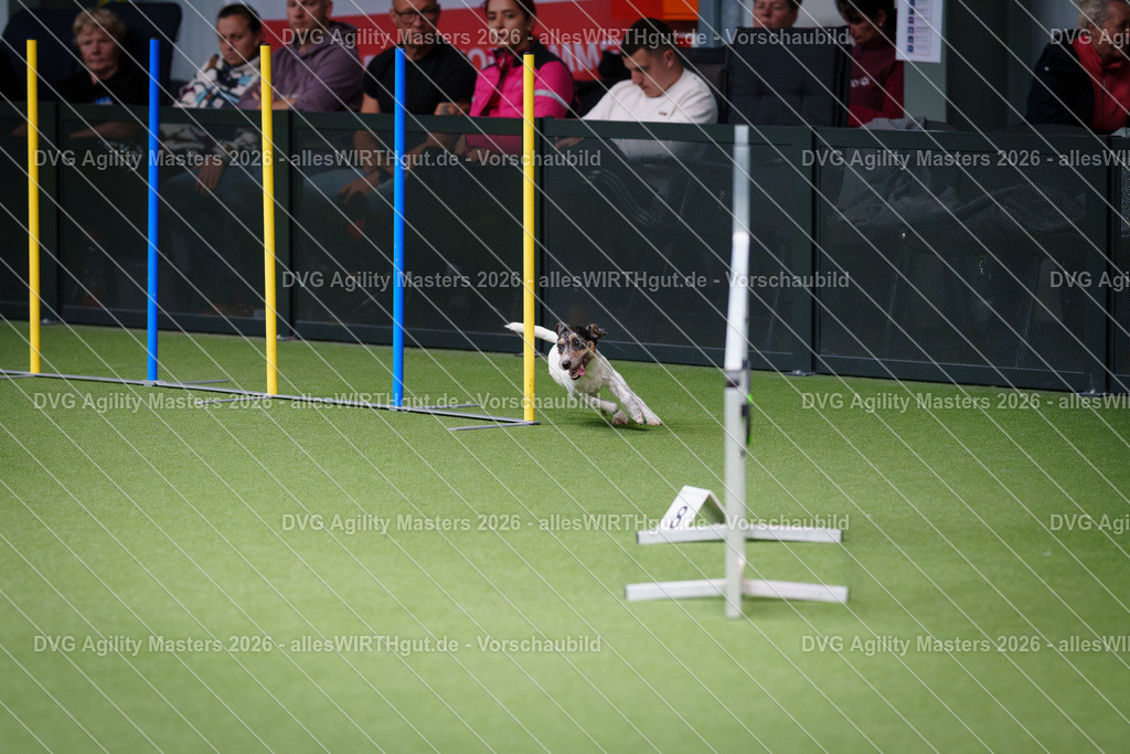 allesWIRTHgut_Tierfotografie-DVG_Agility_Masters_2026-11_10-7R505044 | Professionelle Tierfotografie in Mönchengladbach von Daniel Wirth (allesWIRTHgut). Liebevolle & natürliche Bilder von Hunden & Katzen für unvergessliche Erinnerungen.