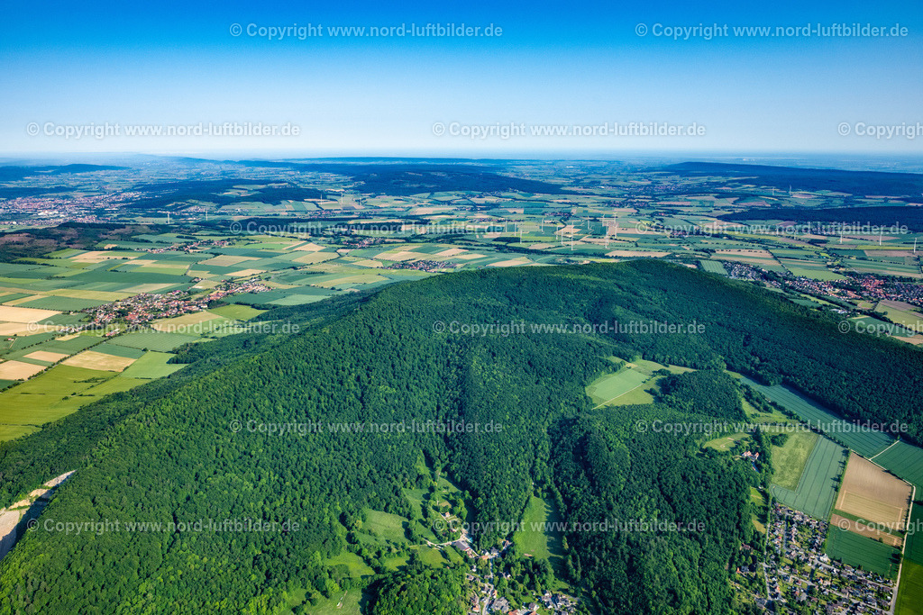 Salzhemmendorf_Naturwald_Saubrinkoberberg_ELS_4183050623 | SALZHEMMENDORF 05.06.2023 Wald und Berglandschaft des Mittelgebirgszuges " Saubringoberberg Naturwald " in Salzhemmendorf im Bundesland Niedersachsen, Deutschland. // Forest and mountain landscape of the mid-mountain range " Saubringoberberg Naturwald " in Salzhemmendorf in the state Lower Saxony, Germany. Foto: Martin Elsen