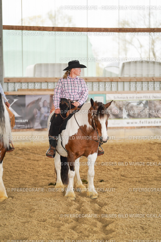 DSC03315 | Pferdegrafie