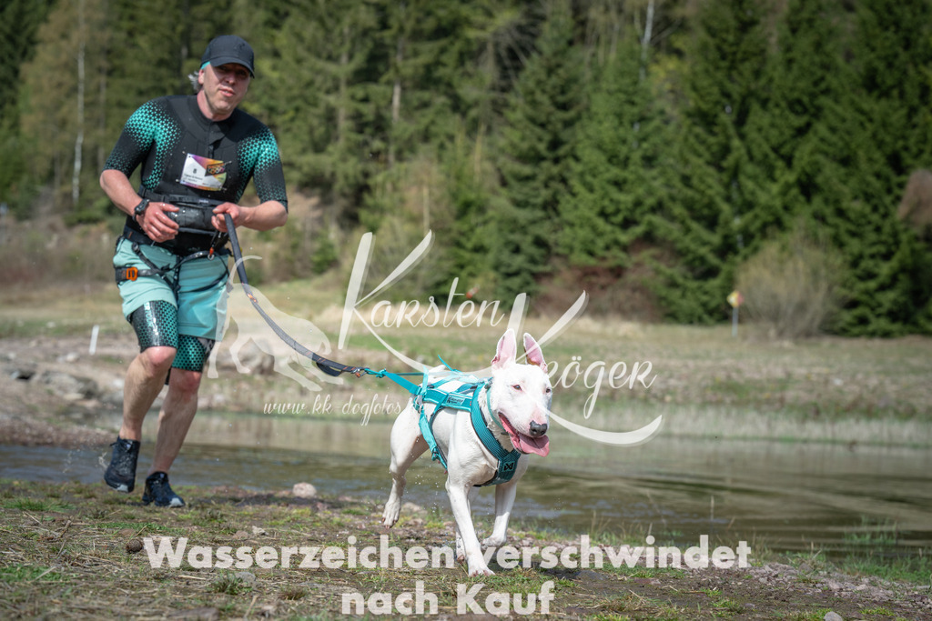 1103_ZZ92940 | kk-dogfotos