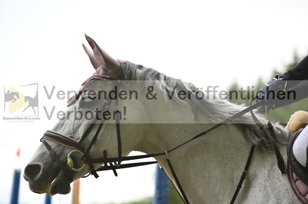 DSC_0551 | equestrian-live-com