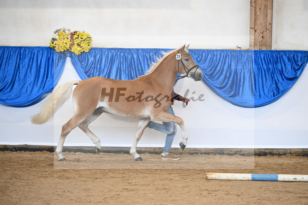 Kat-Nr. 28 nn v. Nio_Kirchberger_48251086 | hf-fotografie - Realisiert mit Pictrs.com