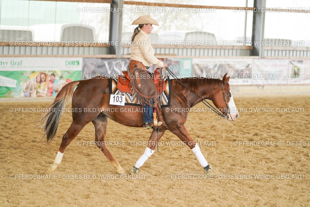 DSC06315 | Pferdegrafie