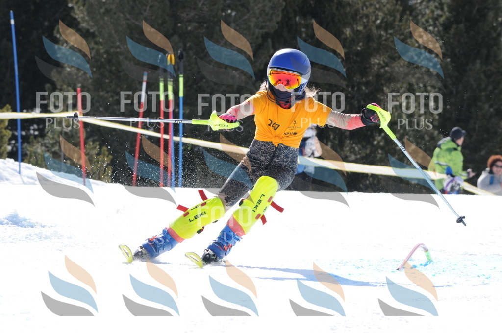 C8839 | holidayphoto