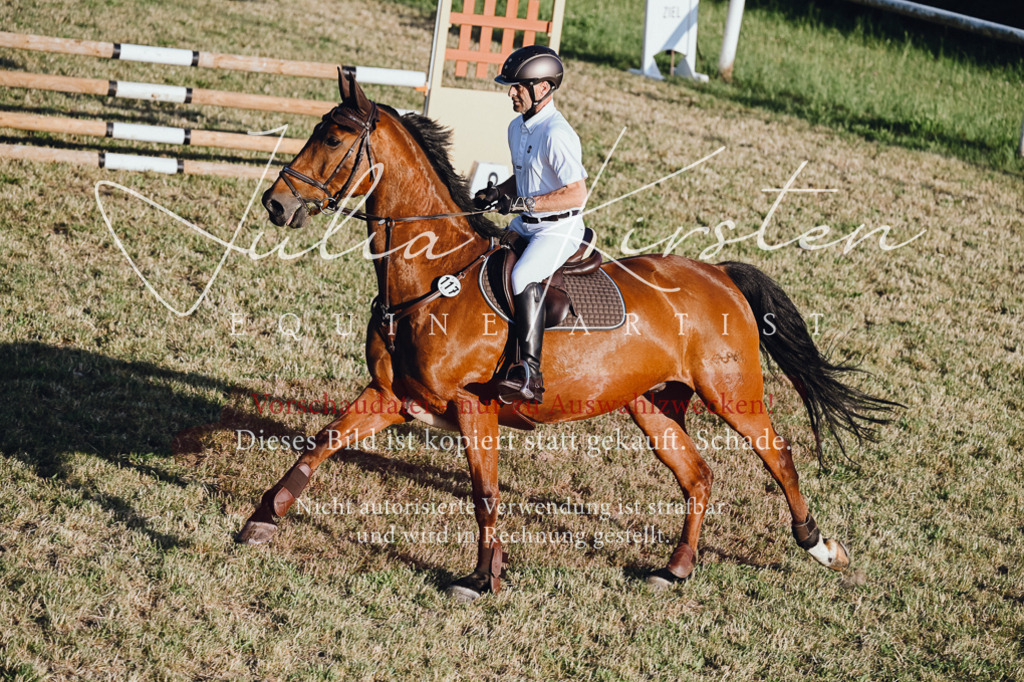 DSC_3273 | Pferde- und Turnierfotografie in Westsachsen. Pferdeportraits, Auftragszeichnungen und intuitive Kunst.