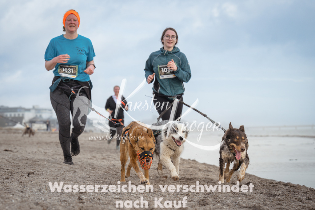 1213_ZZ95101 | kk-dogfotos