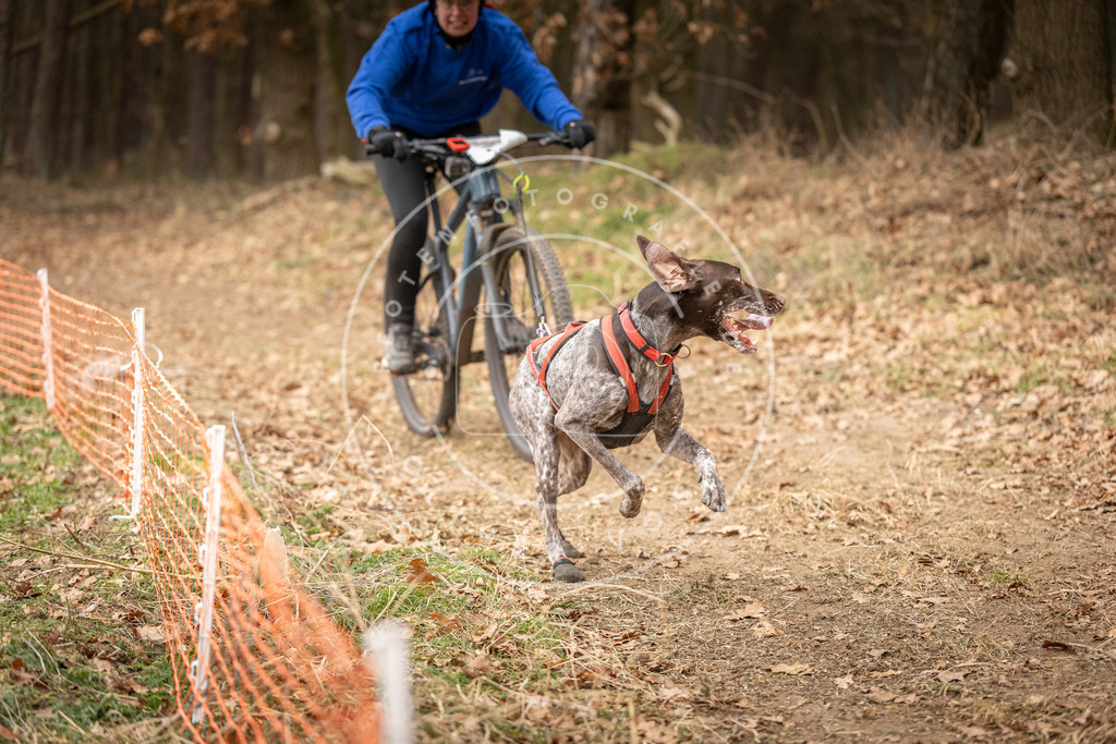 Pfotenfotografie_DV3A3321 | Hundefotografie, Tierfotograf, Pfotenfotografie, Fotoshooting Hund, Hunde Portrait, Hundesport, Hundeportraits, Heideshooting, Hunde, Sportfotograf, Hundefotograf, Turnierhundsport, THS,  - Realisiert mit Pictrs.com
