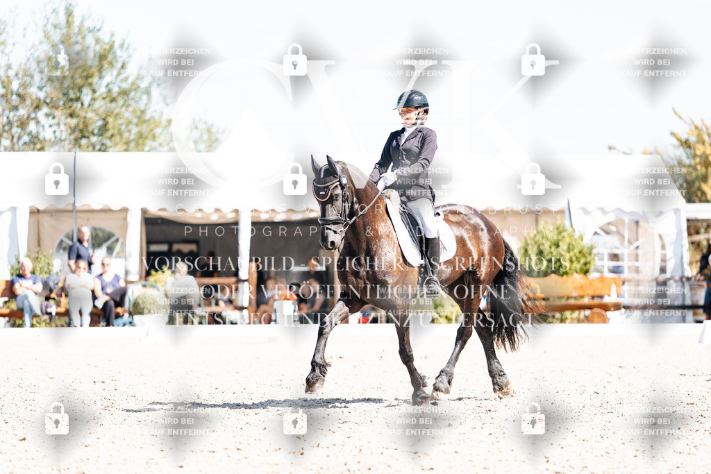 CK904018 | Turnierfotografie Pferdefotografie Trier Rheinland-Pfalz Pferdesport Reitsport Tierfotografie Sportfotografie Pferdevideo Pferdevideografie Equestrianvideography equestrianphotography  - Realisiert mit Pictrs.com