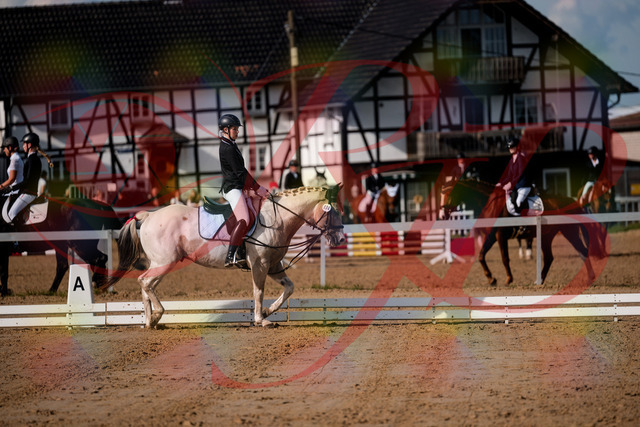 2026_10_03_Siefer-Hof_114744_Z63_27024958 | Professionelle Reitsport-, Turnier- und Eventfotografie von Robert Broda. Galerien mit ausgewählten und bearbeiteten Bildern direkt online ansehen und bestellen.