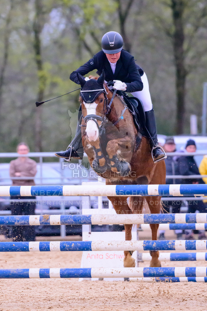 10042026-Mammendorf-Prfg19-0811 | Fokus Hufschlag Fotografie - Realisiert mit Pictrs.com