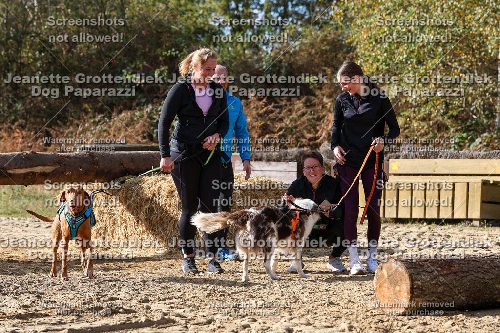 Dog Paparazzi - Strongdog 10-25-5649 | Dog Paparazzi Jeanette Grottendiek Fotografie & Videografie - Realisiert mit Pictrs.com