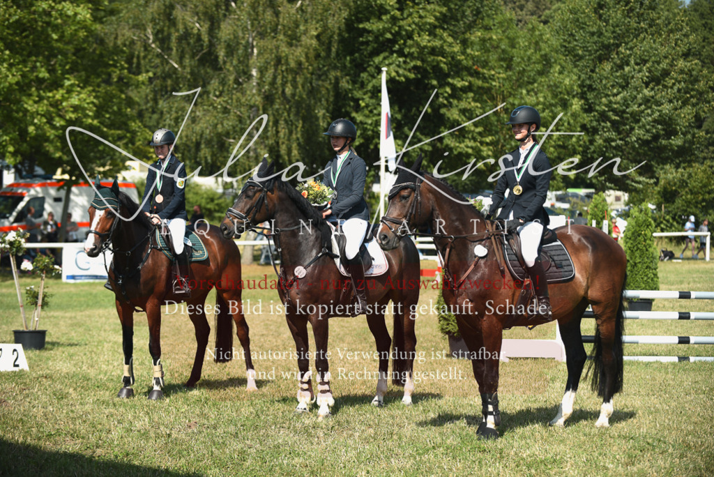 DSC_2638 | Pferde- und Turnierfotografie in Westsachsen. Pferdeportraits, Auftragszeichnungen und intuitive Kunst.