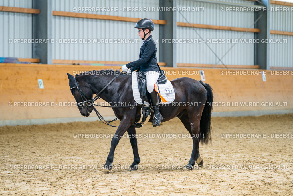 DSC01496 | Pferdegrafie