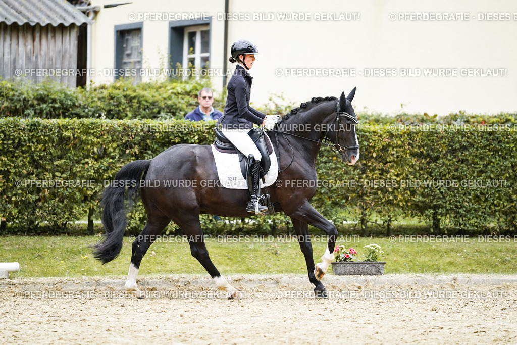 DSC09712 | Pferdegrafie