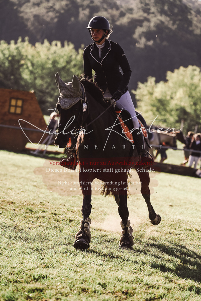 DSC_4656 | Pferde- und Turnierfotografie in Westsachsen. Pferdeportraits, Auftragszeichnungen und intuitive Kunst.