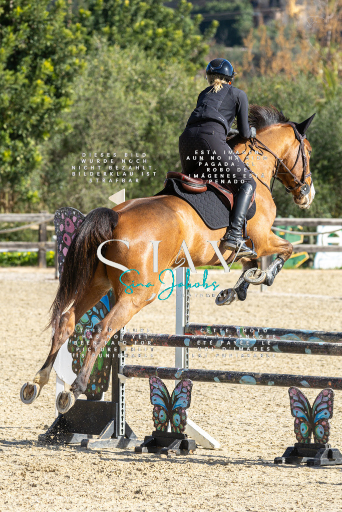 IMG_3864 | s-jay-photography - Realisiert mit Pictrs.com