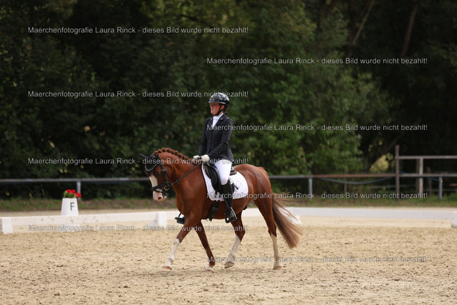 HG9A1765 | laurarinckfotografie - Realisiert mit Pictrs.com