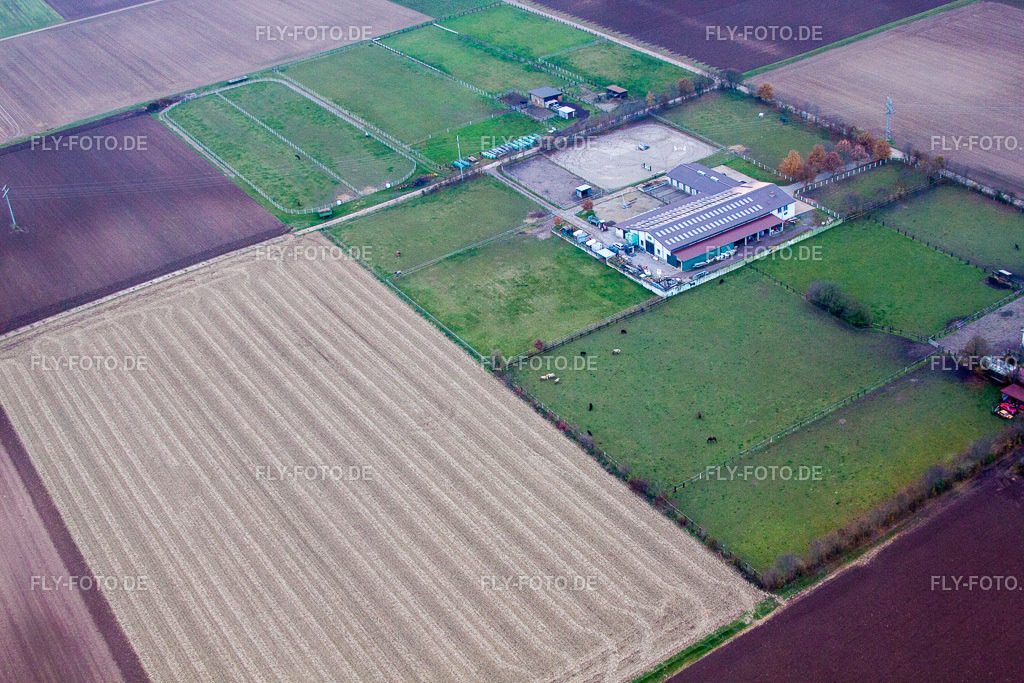 Ortsansicht | Luftbild: Ortsansicht in Ottersheim bei Landau im Bundesland Rheinland-Pfalz in Deutschland. Foto: IMG_61356.jpg vom 01.12.2013 durch Werner Riehm/FLY-FOTO.de - Realisiert mit Pictrs.com