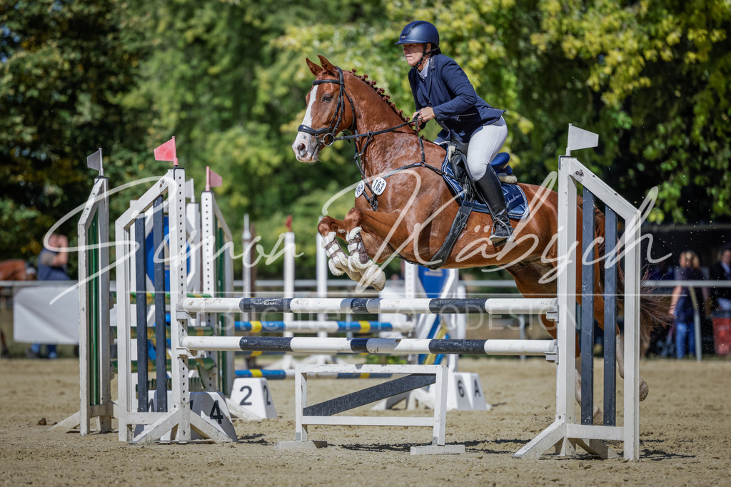 20250906-_3LI4232 | Tierfotografie Pferde, Hunde, Katzen, Haustiere.
Turnierfotografie Reitturniere, Reiten, Springreiten, Dressur in Hanau, dem Main-Kinzig-Kreis und dem Rhein-Main- Gebiet um Frankfurt