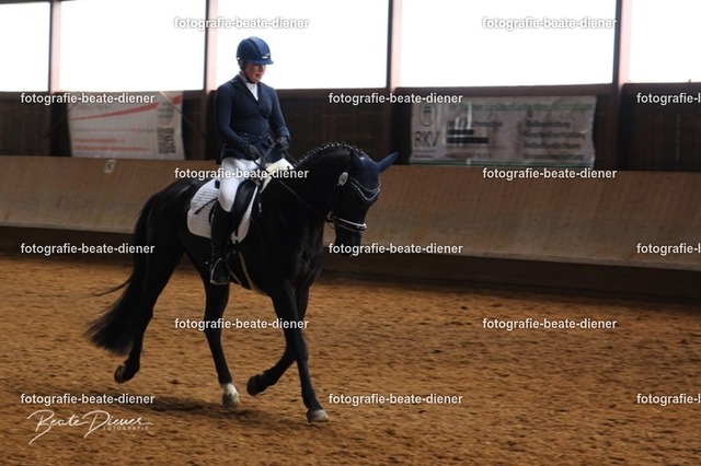 JugendTrophy0201 | Fotografie, Tiere, Hunde, Katzen, Pferde, Sportfotografie, Fotosession, Tierfotografie, Turnierfotografie, Fotografin, Fotograf - Realisiert mit Pictrs.com