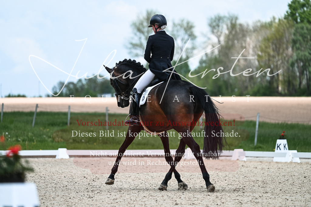20230514_JK-Röhrsdorf-21-051 | Pferde- und Turnierfotografie in Westsachsen. Pferdeportraits, Auftragszeichnungen und intuitive Kunst.